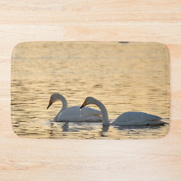 Item preview, Whooper swans in the evening light designed and sold by Jouko Lehto Photography.