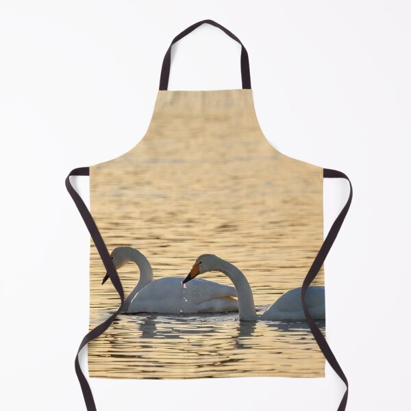 Item preview, Whooper swans in the evening light designed and sold by Jouko Lehto Photography.