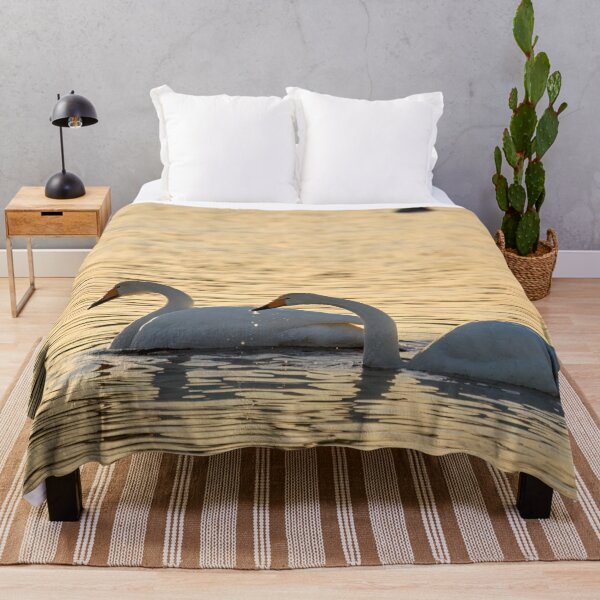 Item preview, Whooper swans in the evening light designed and sold by Jouko Lehto Photography.
