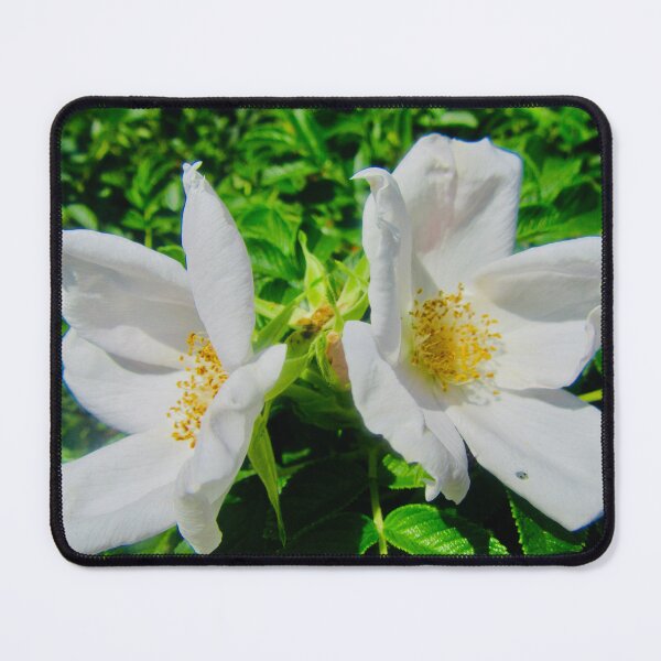 Item preview, Wild Roses designed and sold by Shulie1.