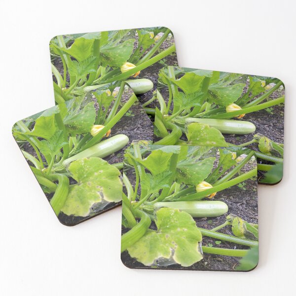 Item preview, zucchini designed and sold by Gourmetkater.