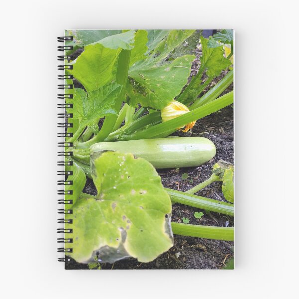 Item preview, zucchini designed and sold by Gourmetkater.