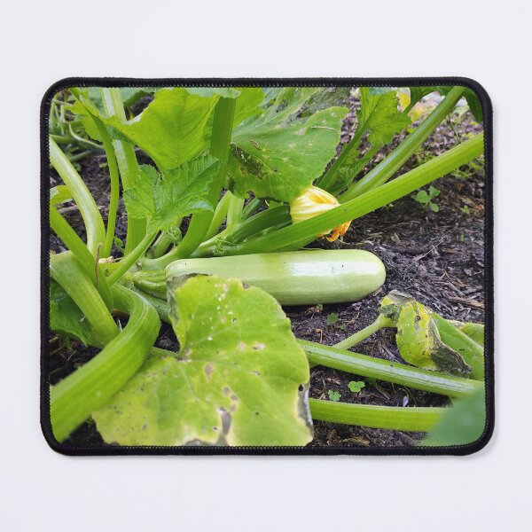 Item preview, zucchini designed and sold by Gourmetkater.