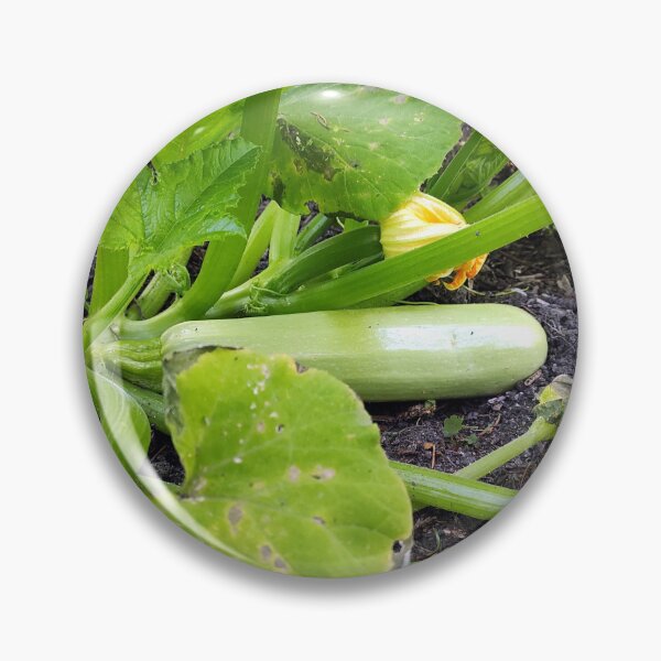 Item preview, zucchini designed and sold by Gourmetkater.