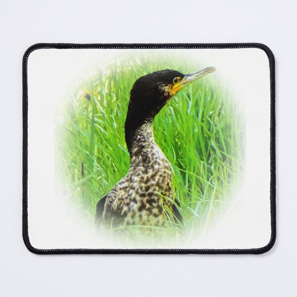 Item preview, Cormorant designed and sold by Guardi71.