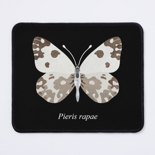 Item preview, Desert white butterfly collage (Pieris rapae) designed and sold by Nia Alexander.