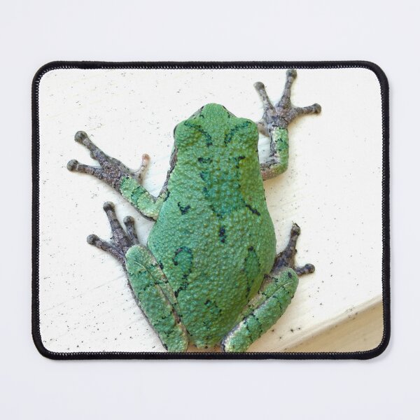 Item preview, Two Words Tree Frog designed and sold by turddemon.