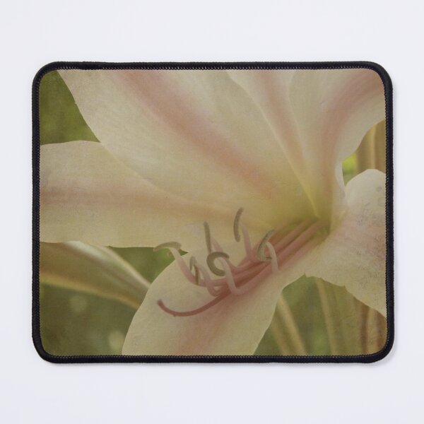 Item preview, Textured Daylily designed and sold by Robert Armendariz.