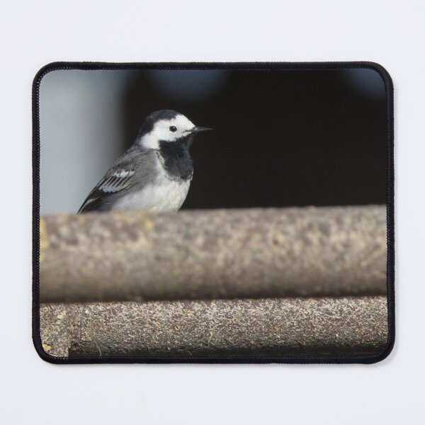 Item preview, Pied Wagtail designed and sold by LaurenTucker.