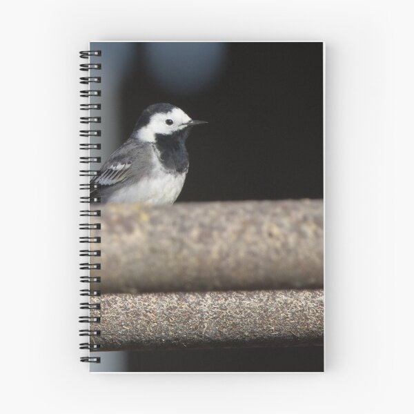 Item preview, Pied Wagtail designed and sold by LaurenTucker.