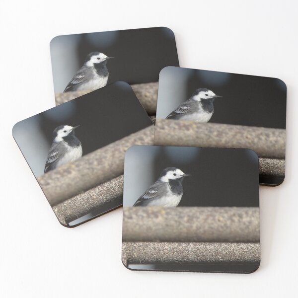 Item preview, Pied Wagtail designed and sold by LaurenTucker.