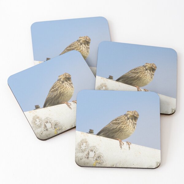 Item preview, Corn Bunting designed and sold by LaurenTucker.