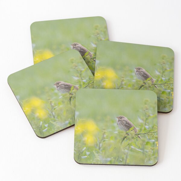 Item preview, Corn Bunting designed and sold by LaurenTucker.