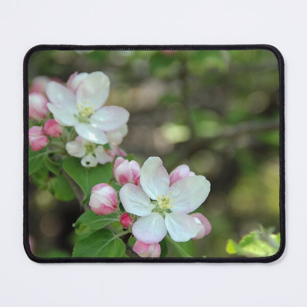 Item preview, Blushing Apple Blossoms designed and sold by Debbie Oppermann.