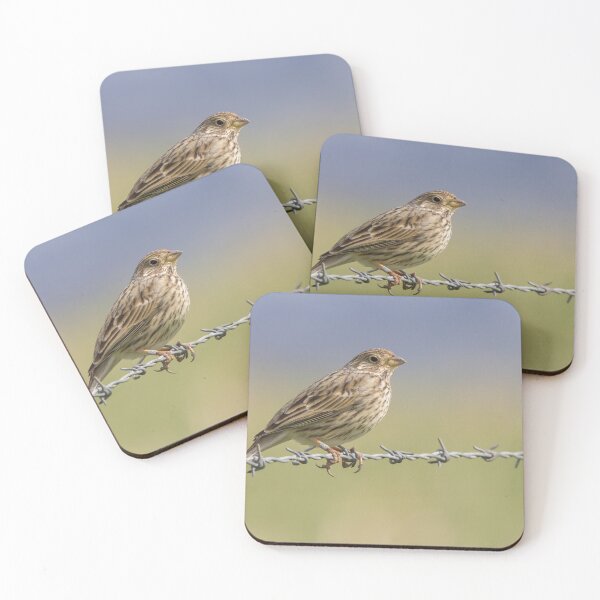 Item preview, Corn Bunting designed and sold by LaurenTucker.