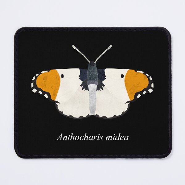 Item preview, Falcate orangetip butterfly collage (Anthocharis midea) designed and sold by Nia Alexander.