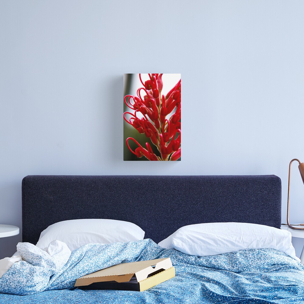 Grevillea Canvas Print