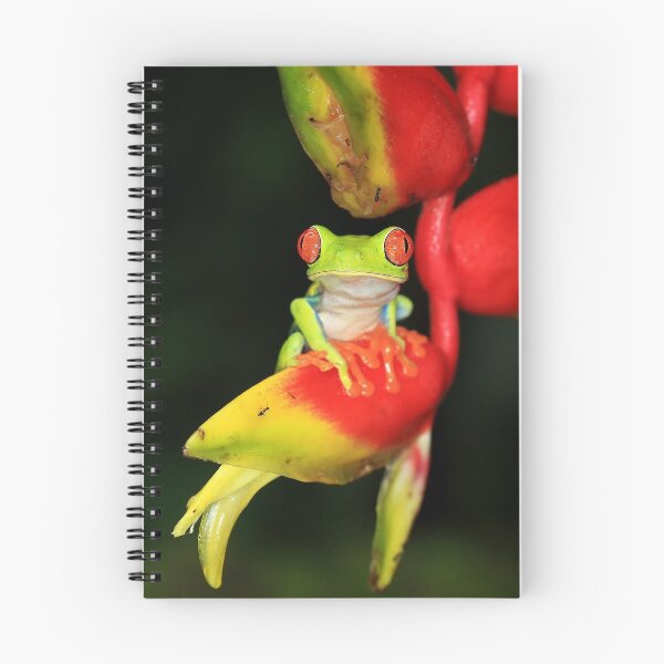 Item preview, Catching The Red-Eye designed and sold by mlorenz.