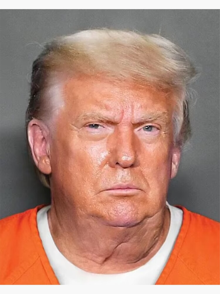 Disover Donald Trump Mug Shot - Donald Trump MugShot Sticker
