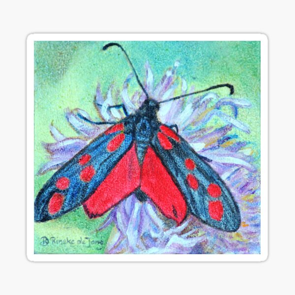 Zygaena filipendulae Sticker
