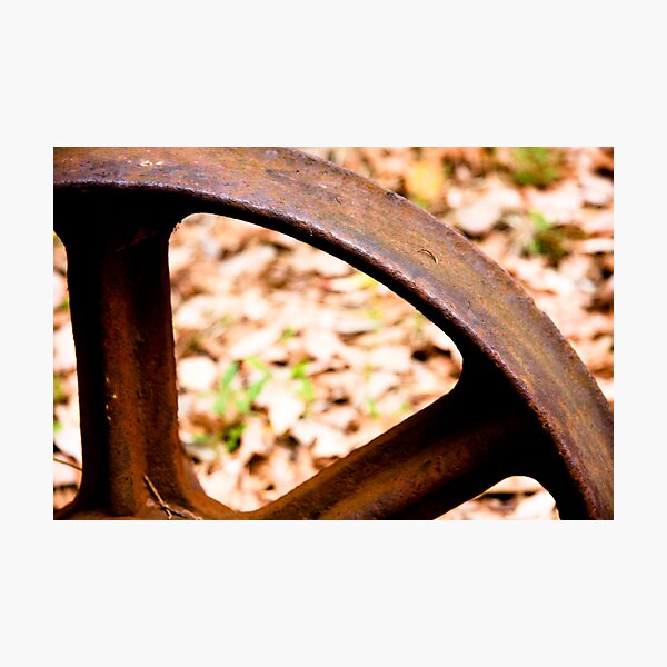 Photographic Print