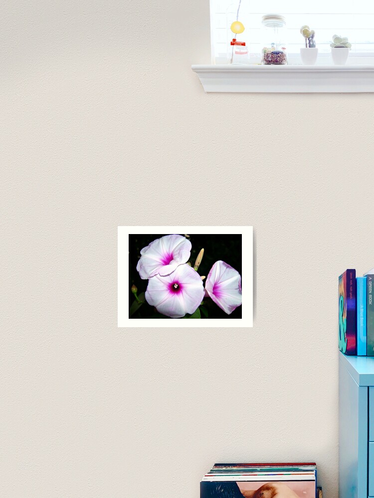 Thumbnail 2 of 3, Art Print, Pink Centre designed and sold by reactdevelopers.