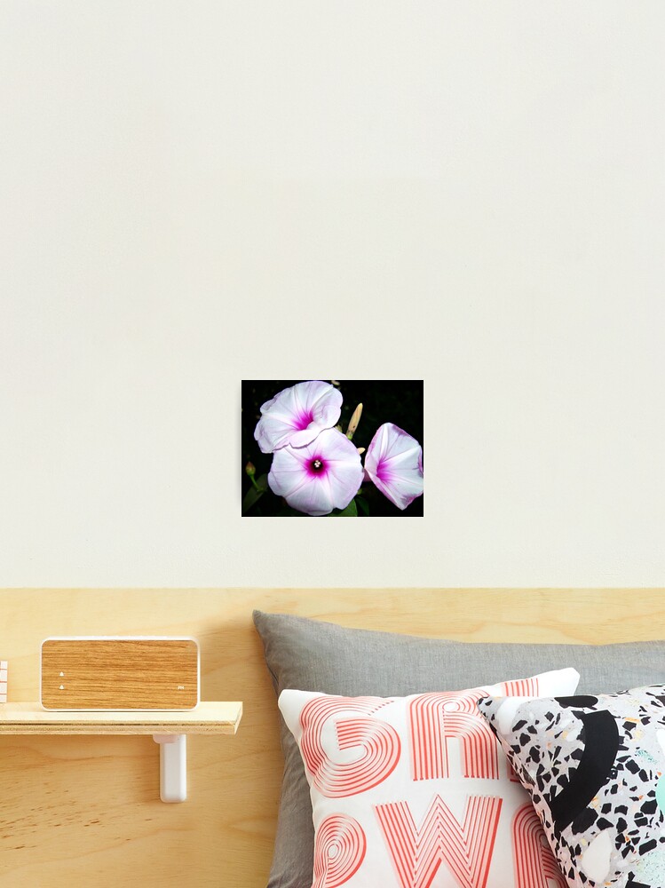 Aperçu 2 sur 3. Impression photo avec l'œuvre Pink Centre créée et vendue par reactdevelopers.