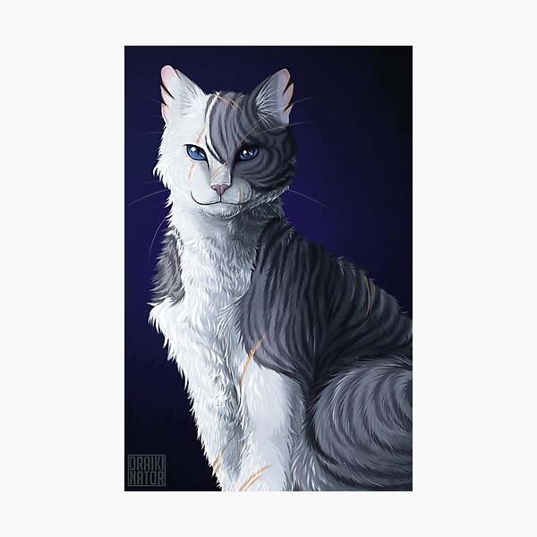 Item preview, Ivypool designed and sold by Draikinator.