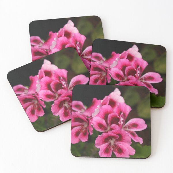 Item preview, Nature's gift designed and sold by LeoParchao.