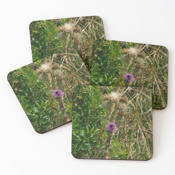 Item preview, Thistle Bee Perfect designed and sold by RenAQR.