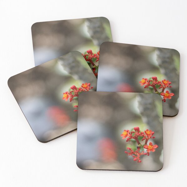 Item preview, focused flower designed and sold by megdonley.