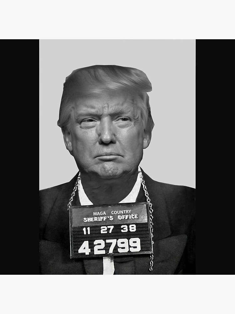 Trump Mug Shot Mug Funny Donald Trump Police Mugshot Photo - Temu