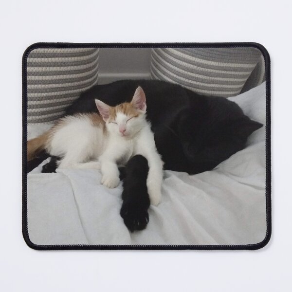 Item preview, #276 |☼| Feline Friends - Alfie & Marley (Cats) designed and sold by Naean H.F. (Nez Man).