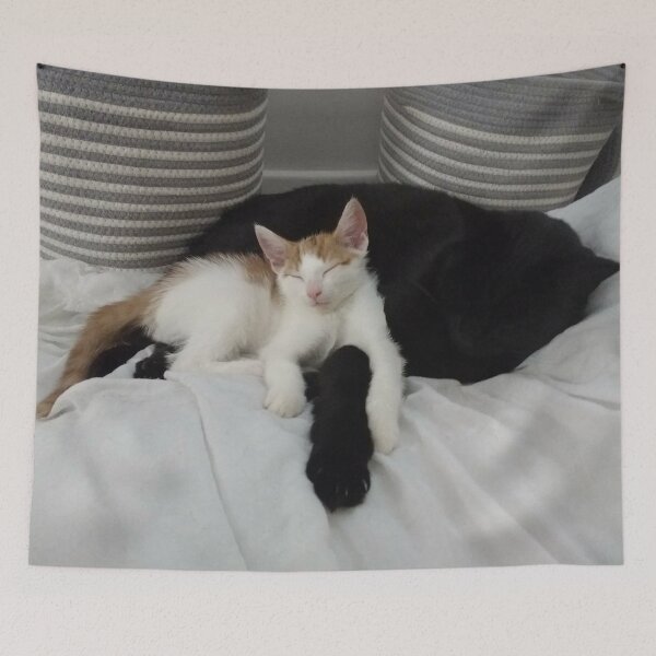 Item preview, #276 |☼| Feline Friends - Alfie & Marley (Cats) designed and sold by Naean H.F. (Nez Man).