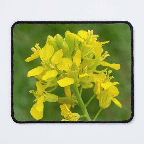 Item preview, Yellow lampshade flower designed and sold by baksuart.