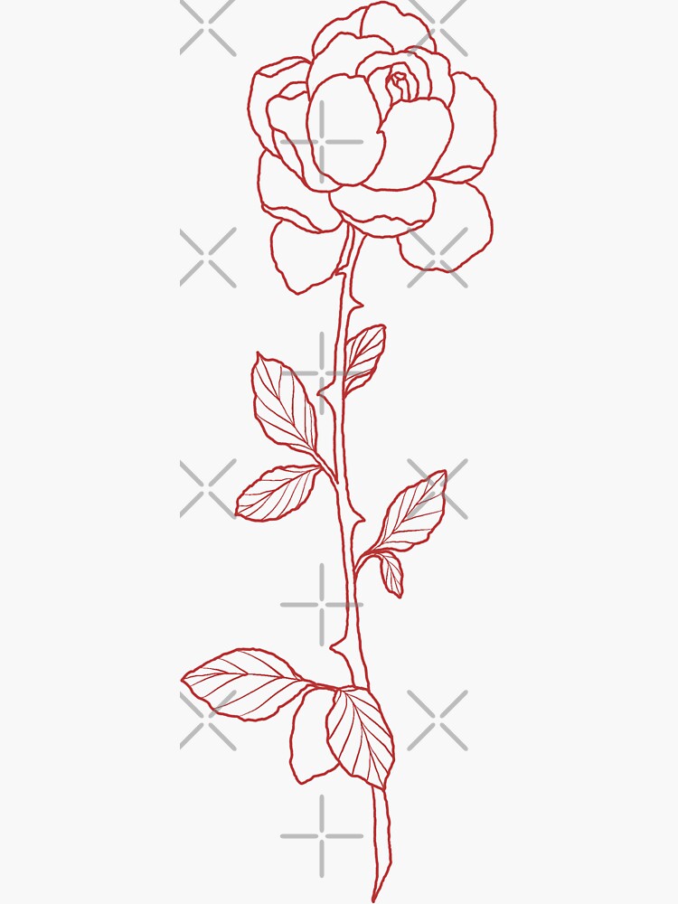 rose rouge avec dessin de tige