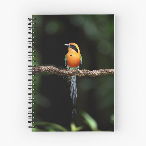 Item preview, Motmot designed and sold by mlorenz.