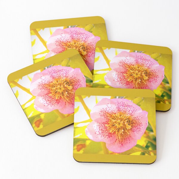 Item preview, Helleborus orientalis (Lenten Rose) designed and sold by annasofia.