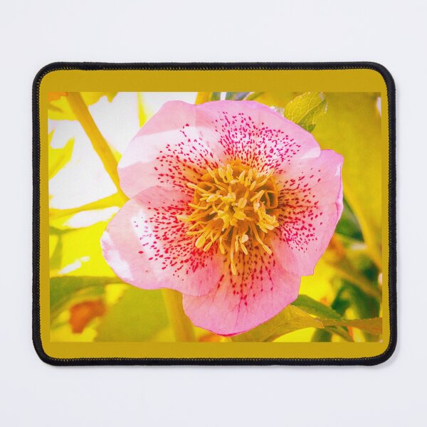 Item preview, Helleborus orientalis (Lenten Rose) designed and sold by annasofia.