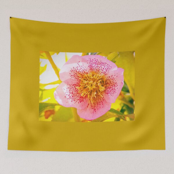 Item preview, Helleborus orientalis (Lenten Rose) designed and sold by annasofia.
