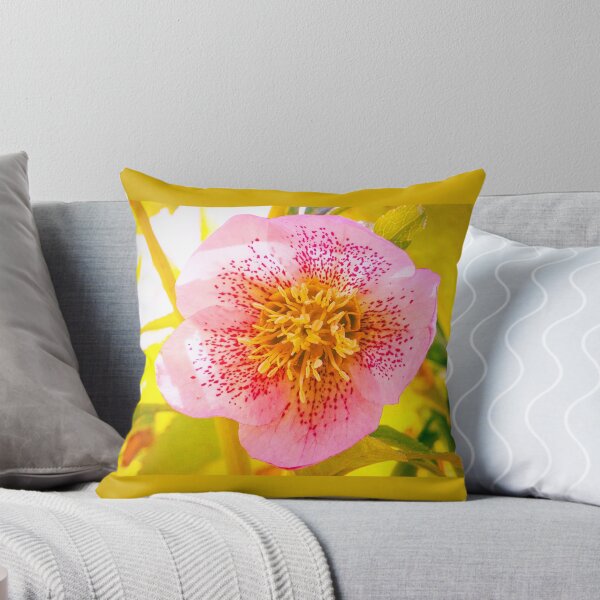 Item preview, Helleborus orientalis (Lenten Rose) designed and sold by annasofia.