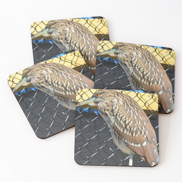 Item preview, Juvenile Black Crowned Heron Vertical designed and sold by LisaWootenPhoto.
