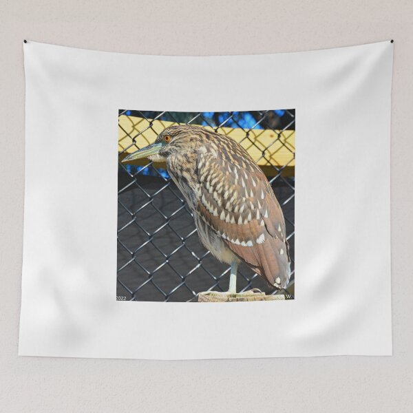 Item preview, Juvenile Black Crowned Heron Vertical designed and sold by LisaWootenPhoto.