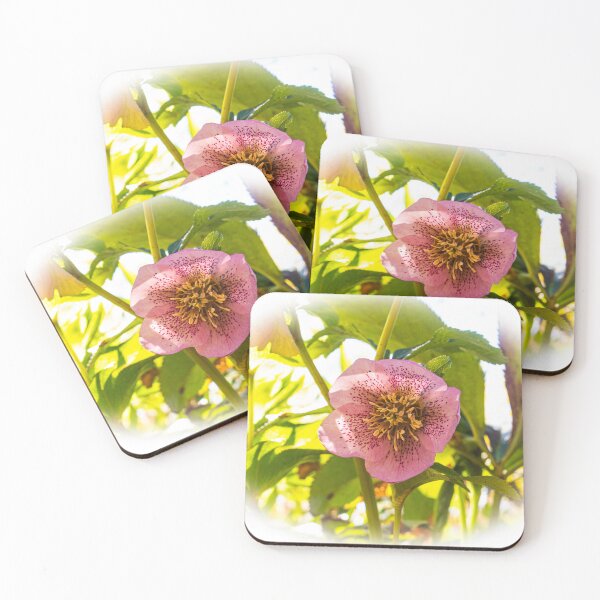 Item preview, Lenten Rose. Helleborus  designed and sold by annasofia.