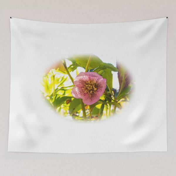 Item preview, Lenten Rose. Helleborus  designed and sold by annasofia.