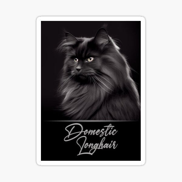 Item preview, Adorable Domestic Longhair designed and sold by Best-Breeds.