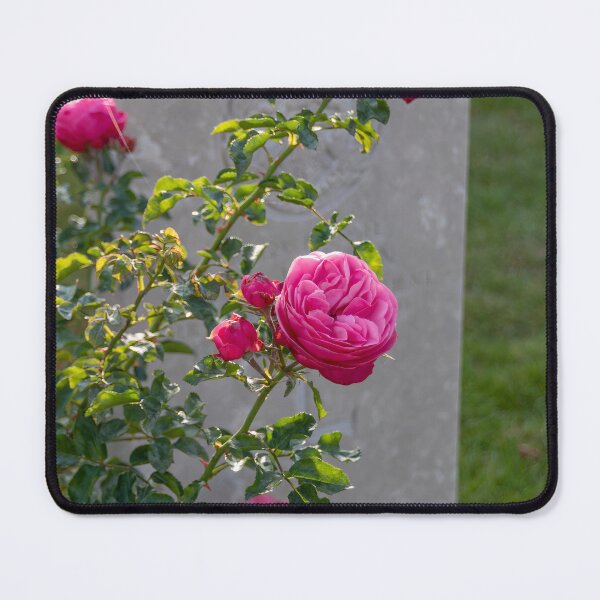 Item preview, Flowers in Front of a Grave designed and sold by jrtwynam.
