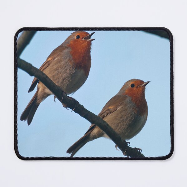 Item preview, Take two Robins designed and sold by LorrieBee.