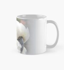 The Philosopher Mug