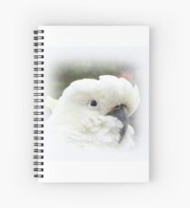 The Philosopher Spiral Notebook
